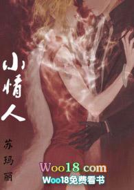 小情人是小三的意思吗